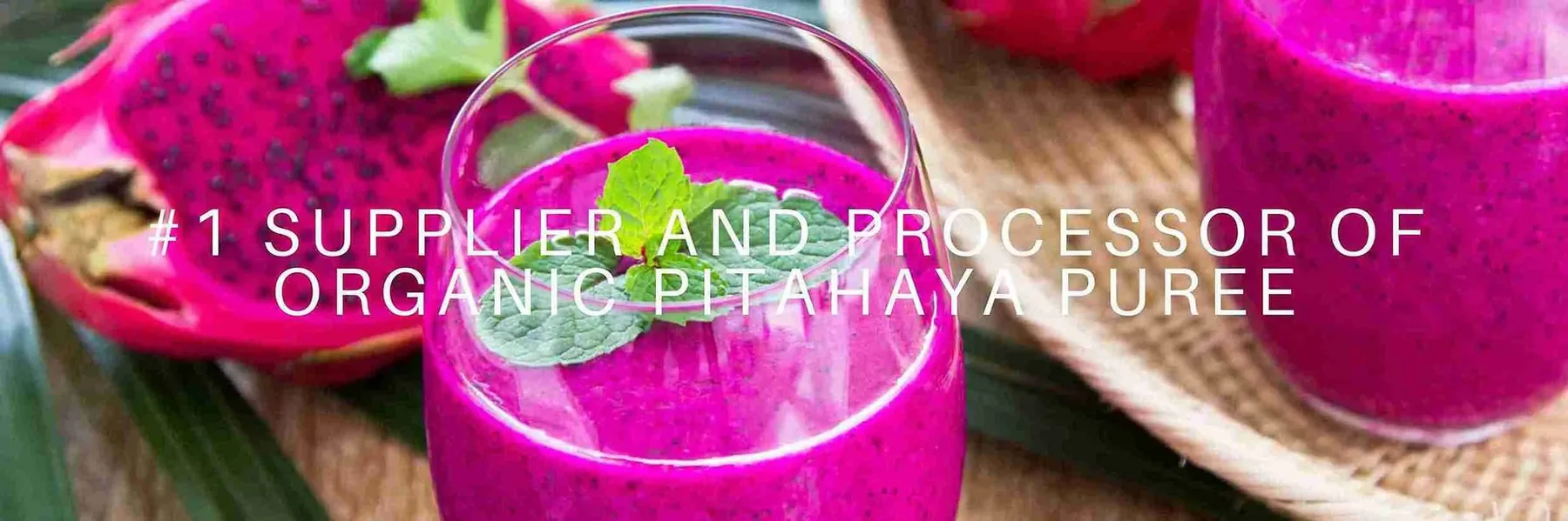 Sol Organica pitahaya sourcing and processing in Nicaragua